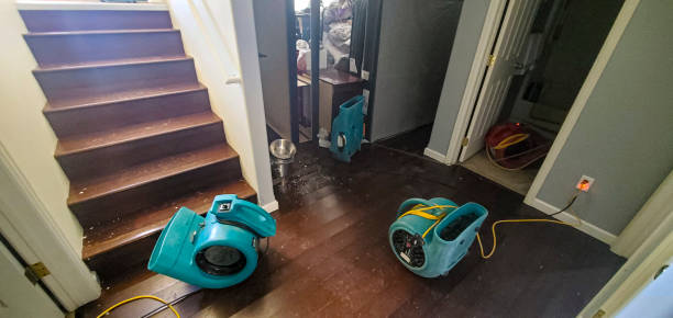 Water damage restoration mold remediation in Eldorado At Santa Fe, NM