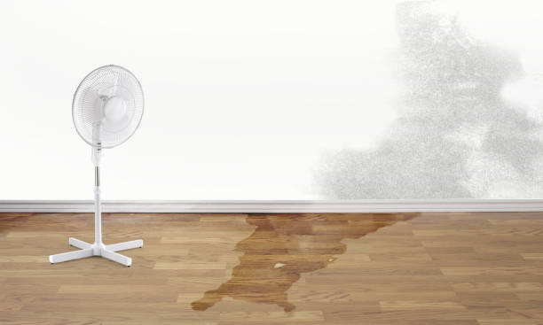Best Water damage restoration near me  in Eldorado At Santa Fe, NM