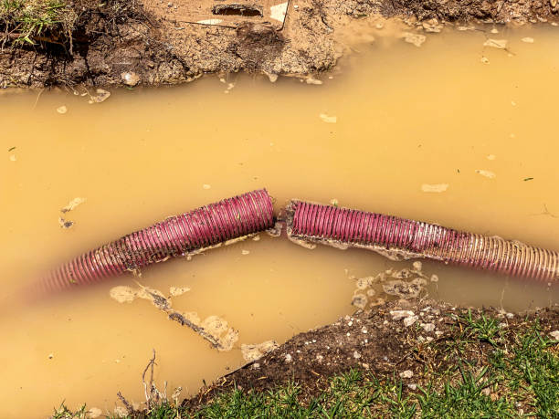 Best Professional water damage repair  in Eldorado At Santa Fe, NM