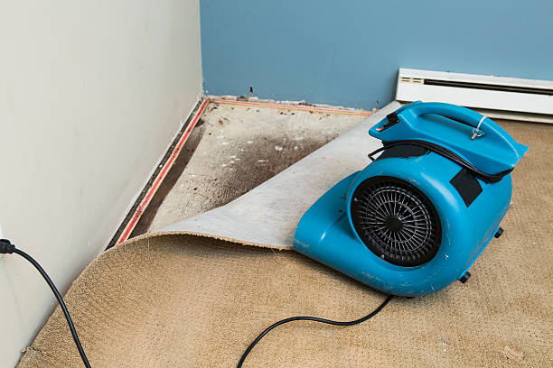 Best Water damage restoration near me  in Eldorado At Santa Fe, NM